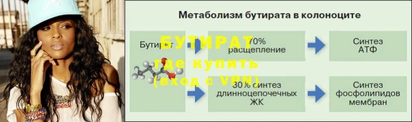 ешки Бородино